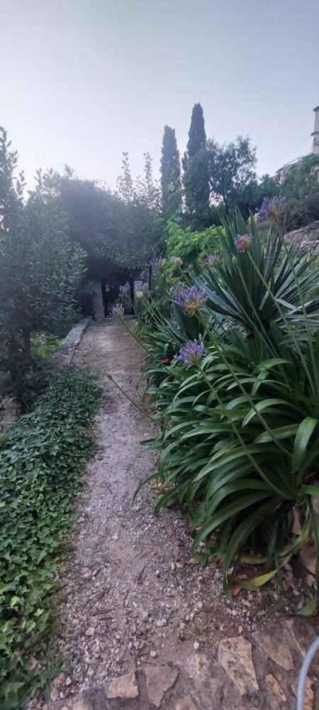Panoramic View With Jacuzzi Apartment Vis Bagian luar foto